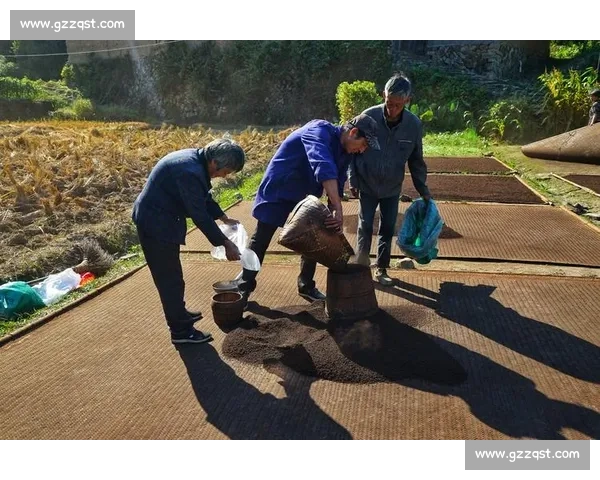 杨玉娇探访陇原非遗：从窑洞炕头到国际舞台的千年技艺传承